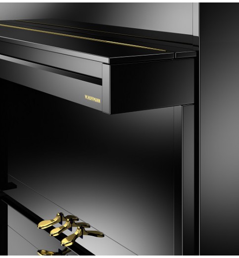 W. Hoffmann Vision V6